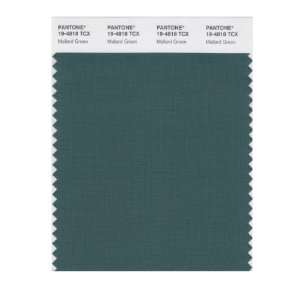   SMART 19 4818X Color Swatch Card, Mallard Green