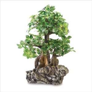 Everlasting Bonsai On Rock Grocery & Gourmet Food