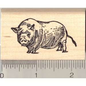  Pot Bellied Pig Rubber Stamp Arts, Crafts & Sewing