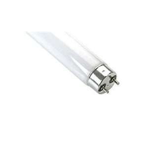  0184   T5 Fluorescent Bulb