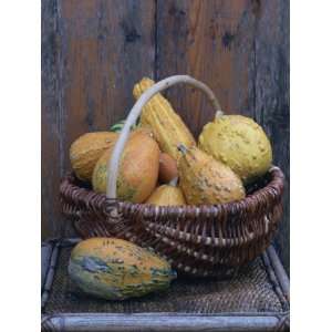  Still Life of a Small Number of Yellow Gourds in a Rustic 