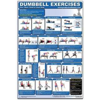  Dumbbell Exercises Lower Body/Core/Chest & Back Laminated 