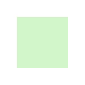  Rosco E Color 278 1/8 Plus Green Gel Filter Sheet 
