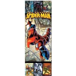 Spider Man   Web   Marvel Comics Door Poster