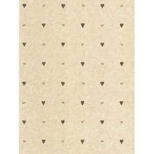  Wallpaper Steves Color Collection   Beige BC1581614