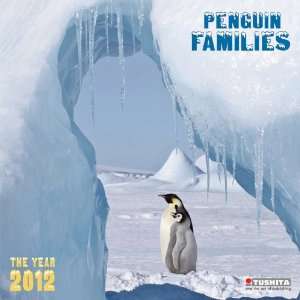  Penguins 2012 Wall Calendar