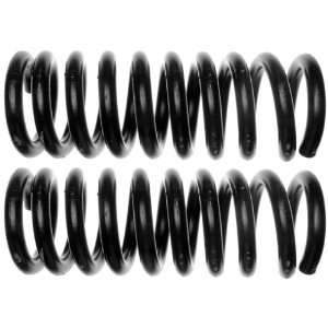  Raybestos 585 1343 Professional Grade Coil Spring Set 