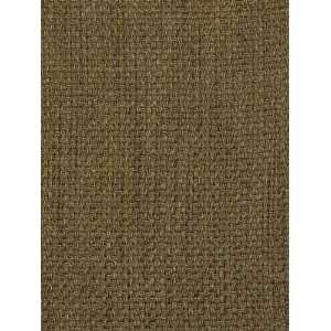  1491 Woodrow in Mineral by Pindler Fabric