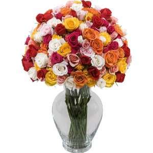 100 Blooms of Multicolored Spray Roses with Jordan Vase  