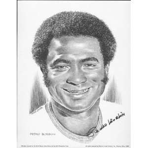  1974 Pedro Borbon Cincinnati Reds Lithograph Sports 