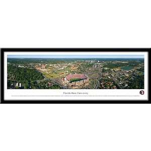  Florida State University Doak Campbell Framed Panoramic 