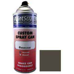  12.5 Oz. Spray Can of Indium Gray Metallic Touch Up Paint 