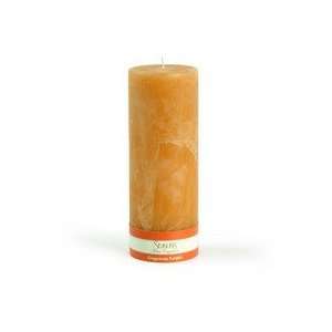  3x8 Marble Pillar Candle   Ginger Snap Pumpkin Everything 