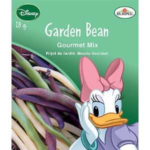  Disney Mickey, Garden Bean, Gourmet Mix 1 Pkt. Kitchen 