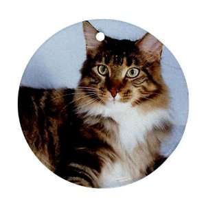 Cat Maine Coon Ornament round porcelain Christmas Great Gift Idea