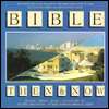   Bible Then and Now by Jenny Roberts, Wiley, John 