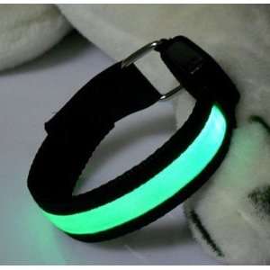  LED Arm Band for Dog Walker, Jogger, Biker And/or LED Pet Neck Band 