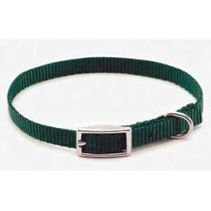   Collar Small   10 in. Palm Green with a Width of 3/8 in.