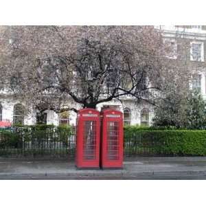  Cabines Telephoniques Londres   Peel and Stick Wall Decal 