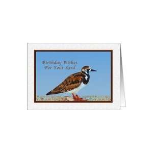  Birthday, 83rd, Ruddy Turnstone Bird Card Toys & Games