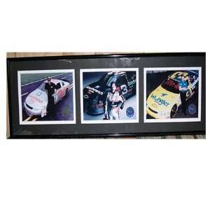  #3 Dale Earnhardt Sr Triple Shot Framed Collage Sports 