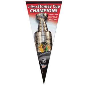  Chicago Blackhawks 3X Stanley Cup Champions 17 x 40 
