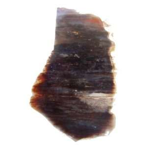 Petrified Wood Slab 02 Black Tree Fossil Crystal Earth Energy Healing 