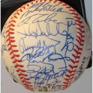   43 SIGNED Official Baseball   Autographed Baseballs