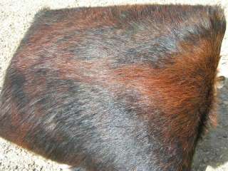   Footstool Western Hair on Cowhide Rustic Steer Horn Stool 2187  