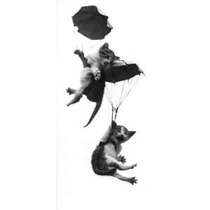  Flying Squad, Cats & Kittens Note Card, 4.25x9