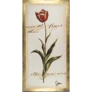  Jen S Tulip I Poster Print