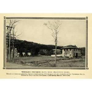  1911 Print Wingless Chicken Carnegie Station Evolution 