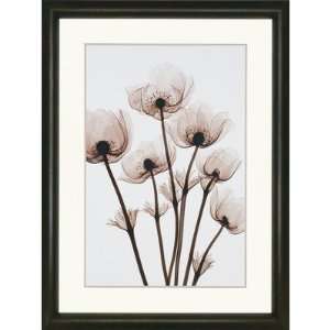 Paragon 1554 Windflowers by Meyers Florals Art   49 x 37  