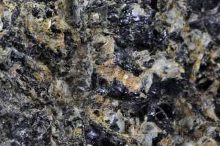   is Largely Amphibole mica Garnet and clinopyroxenite on matrix , 31g