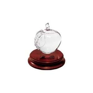  Glass Apple Award with Rosewood Base