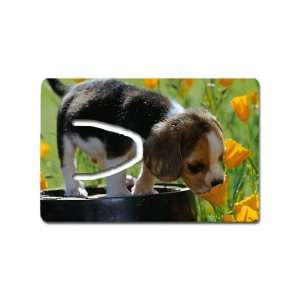 Cute puppy beagle Bookmark Great Unique Gift Idea