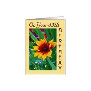  On Your 85th Birthday Card Toys & Games