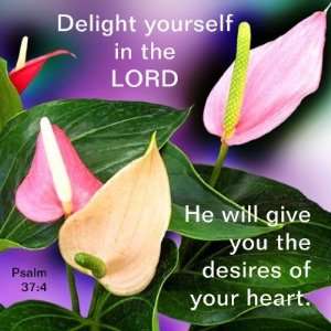  Desires of Your Heart Refrigerator Magnet
