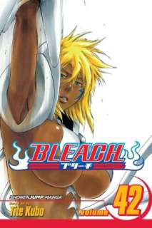   Bleach, Volume 42 by Tite Kubo, VIZ Media LLC 