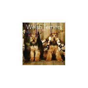  Welsh Terriers 2010 Wall Calendar