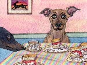 Greyhound whippet dog Scones art signed print S Alison  