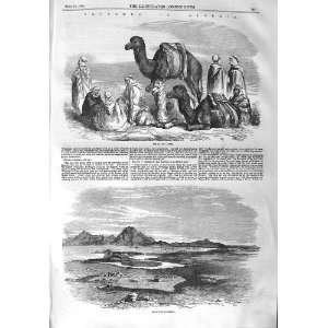   1858 ALGERIA ARABS CAMELS VIEW SITE CARTHAGE MOUNTAINS