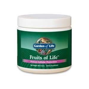  Garden of Life Fruits of Life, 300 grams powder Health 