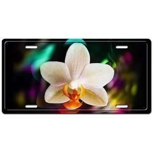  Orchids Exotic Flower License Plate Car Novelty Tag 