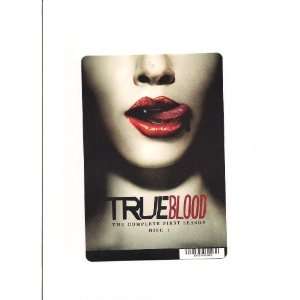  TRUE BLOOD S1D1 CARD STOCK PHOTO 8 X 5.5 