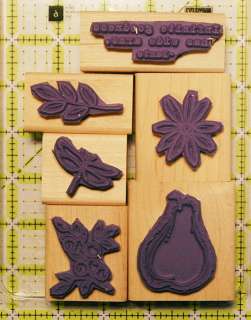 Stampin Up Retired Infinite Goodness set/6 dragonfly  