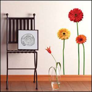   GERBERA Flowers Adhesive Removable Wall Decor Accents Sticker Decals