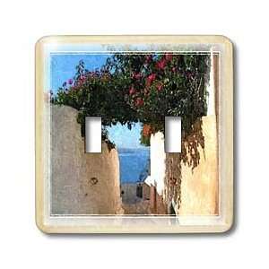 Susan Brown Designs Places Themes   Walkway in Greece   Light Switch 