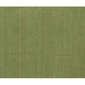  1587 Elian in Thyme by Pindler Fabric