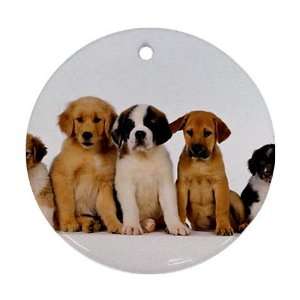 Cute puppies Ornament round porcelain Christmas Great Gift Idea